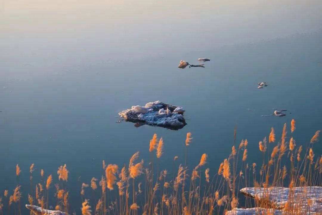 黄河流凌1.jpg