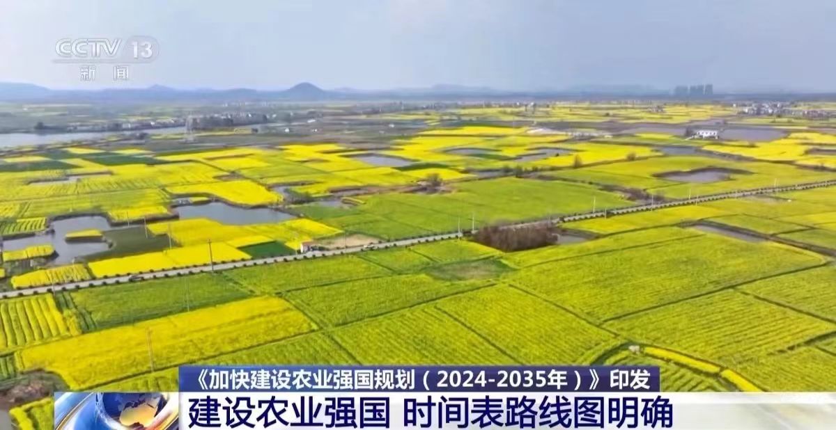 政策11.jpg