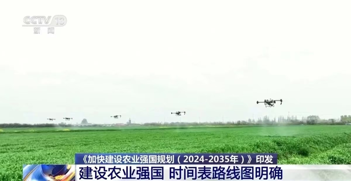 政策17.jpg